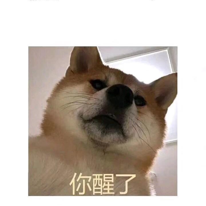 杨生