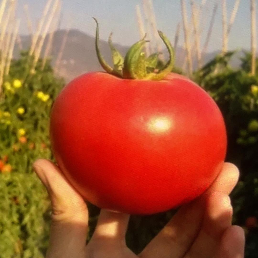 云南明之峰商务严选铺