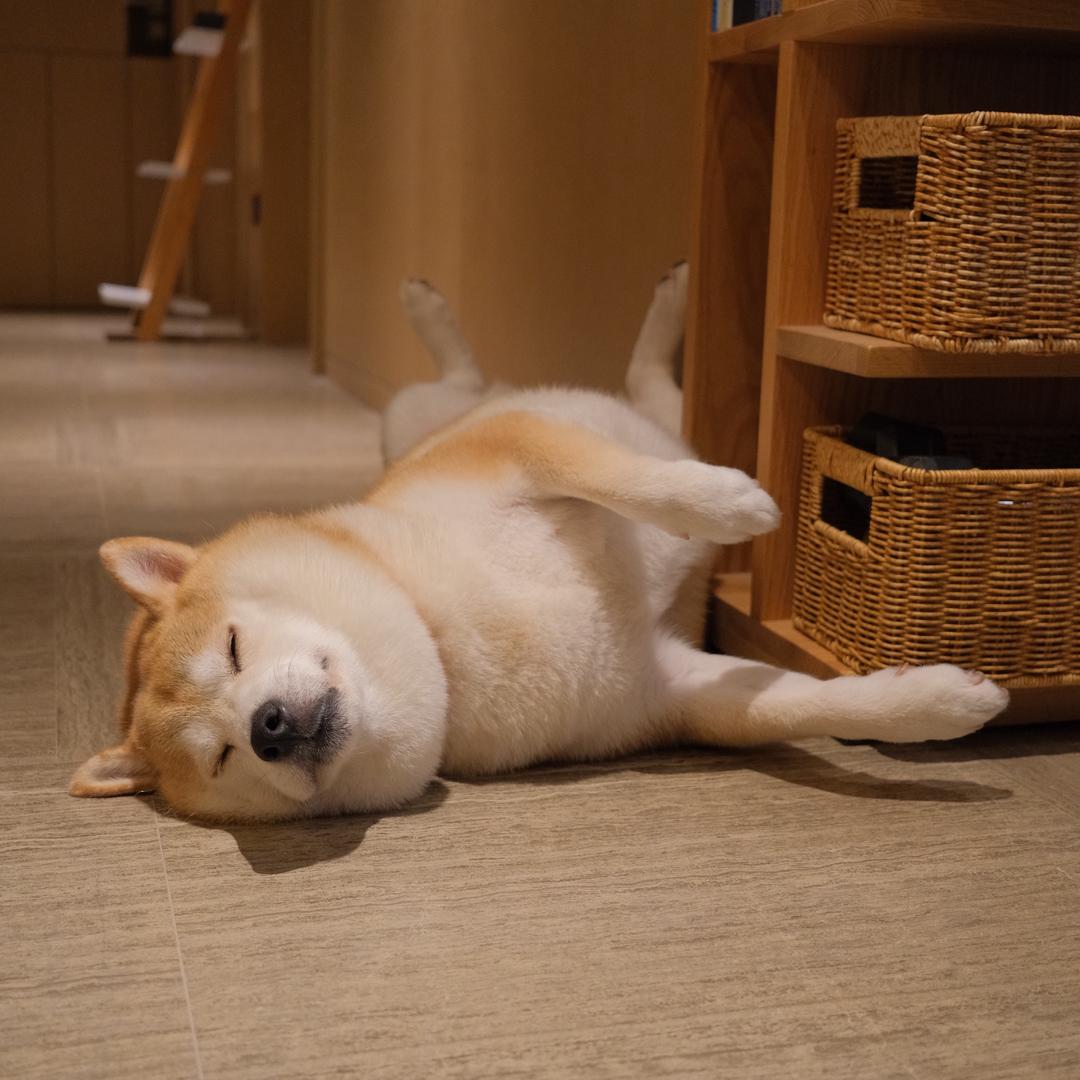 夜雨声烦黄少天