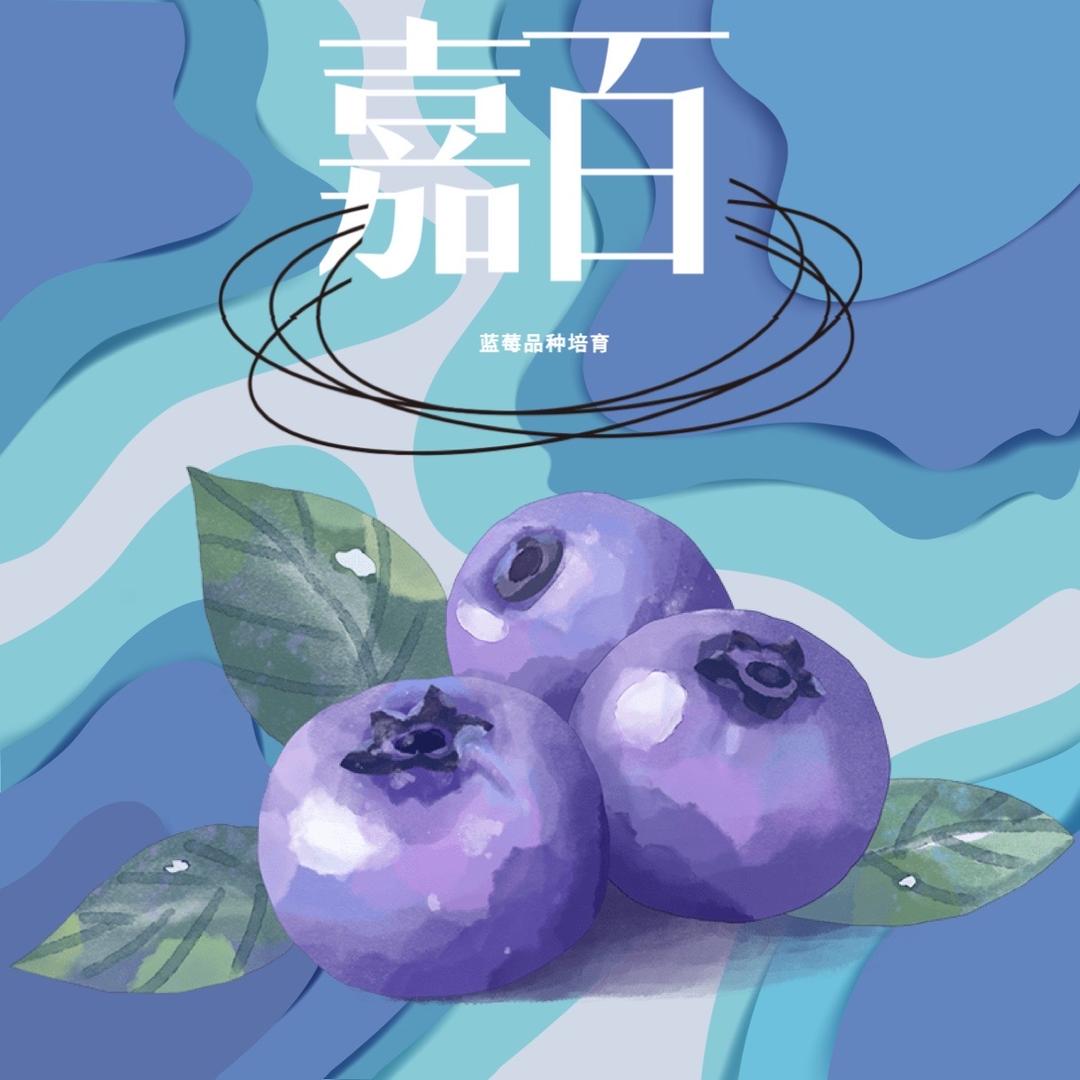 嘉百专营店