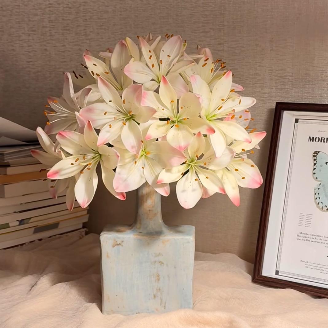 @小美姐（向上版）