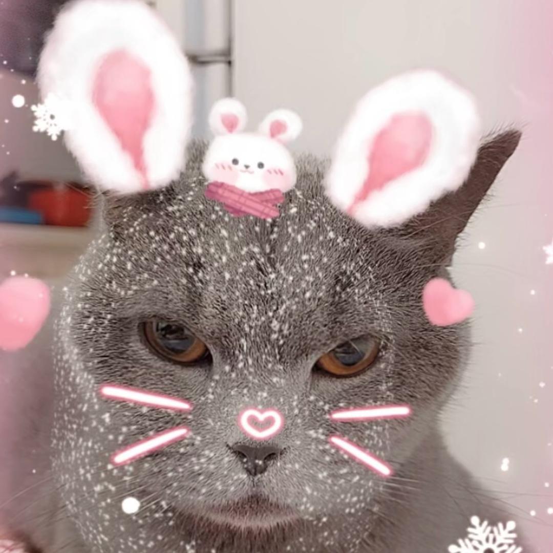 ௸꧁余生༒随心꧂꫞