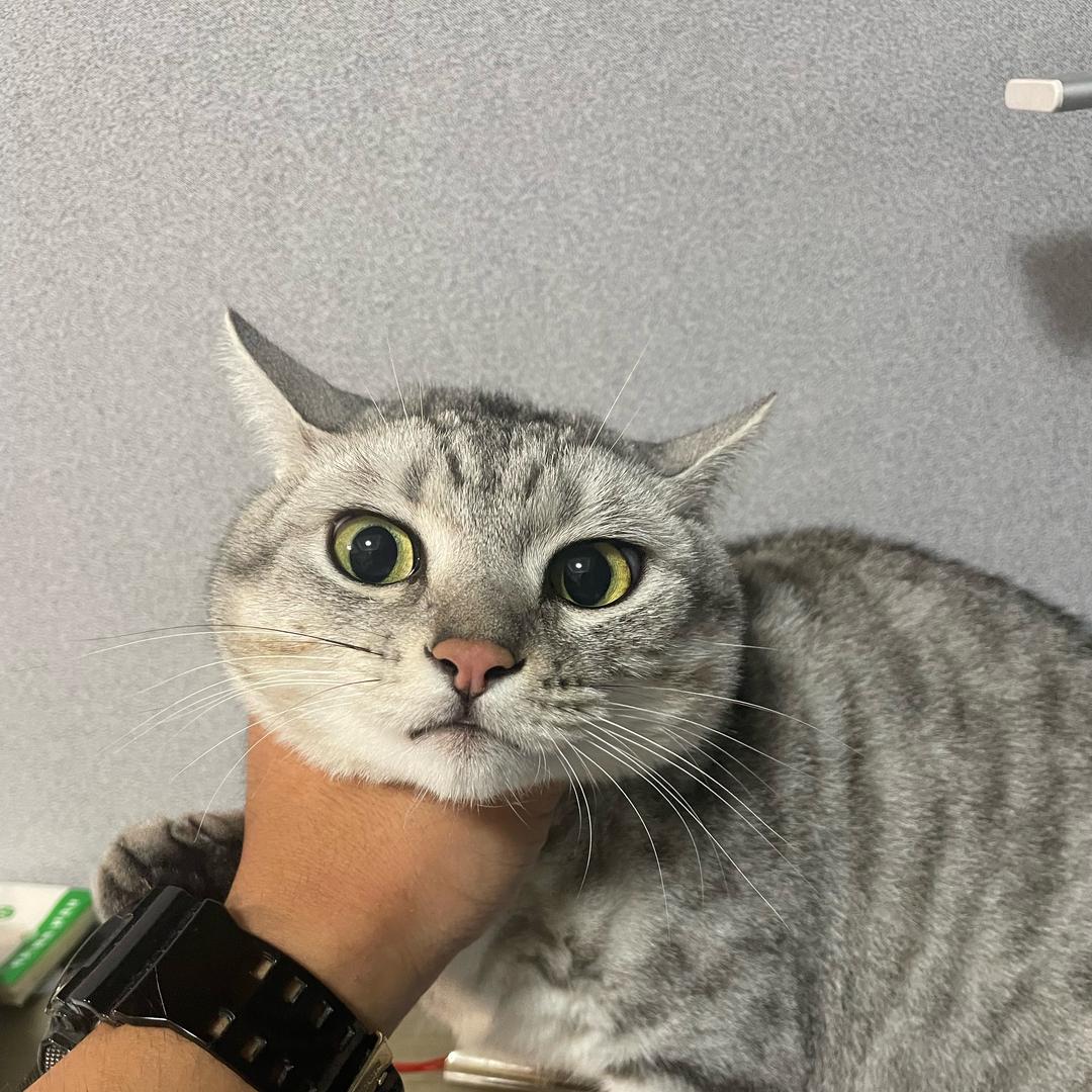 云深不归