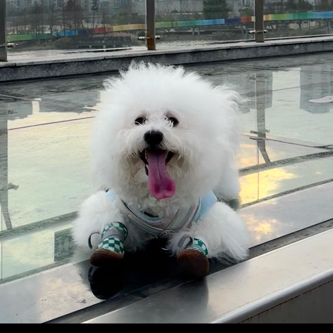 李灿的屁股蛋儿