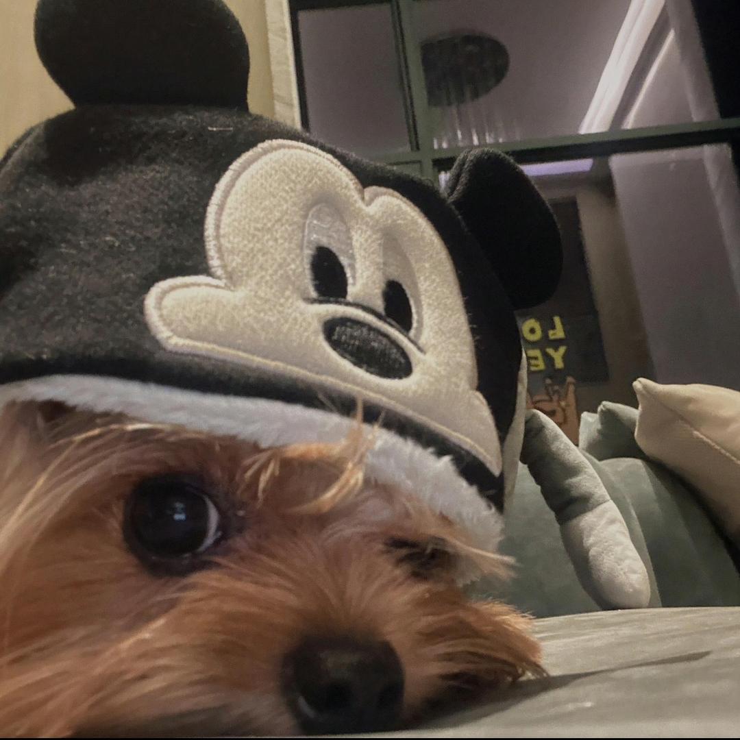 卫莱·