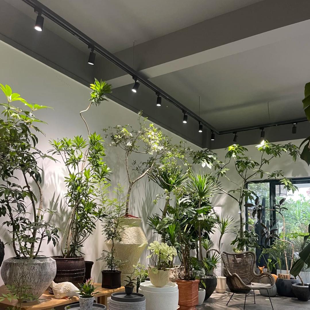 二二六绿植园艺