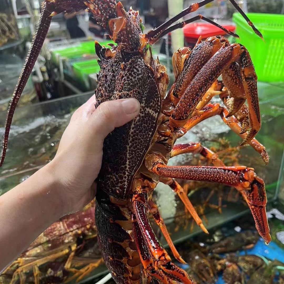 曹记水产(立水桥店)