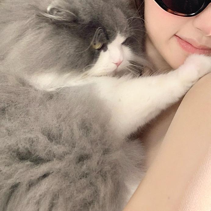 柒与玖（三角洲行动）