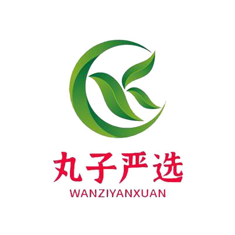 丸子严选店