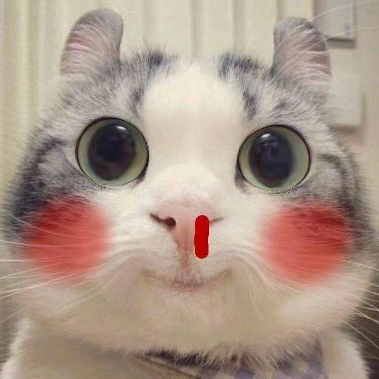 拖拖拉拉换鞋的我