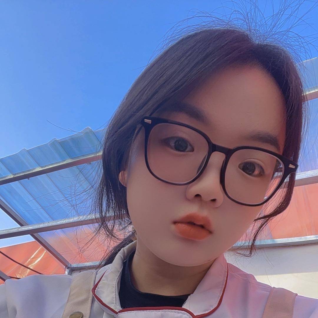 丫丫家桂花藕粉