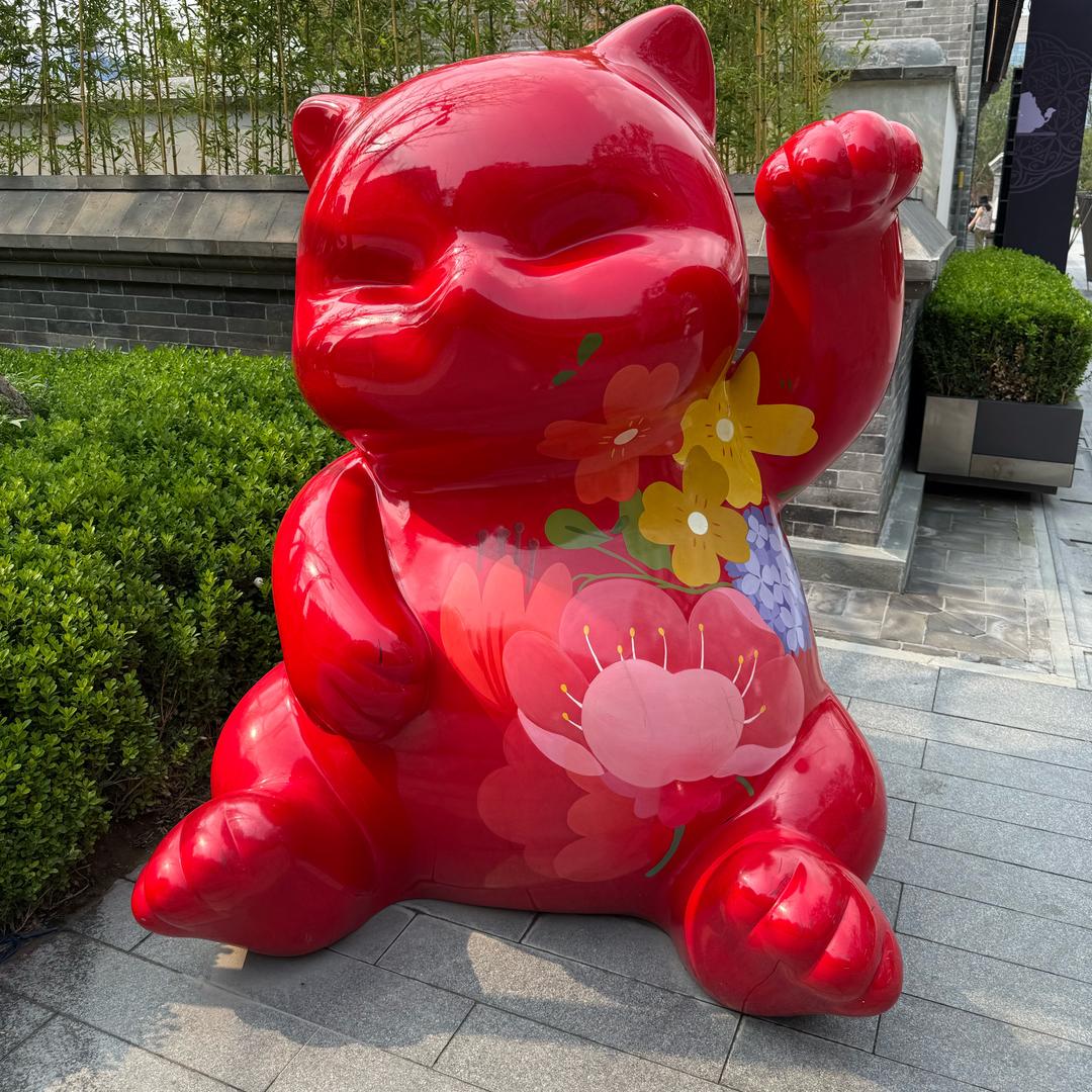 小丑鱼折耳猫