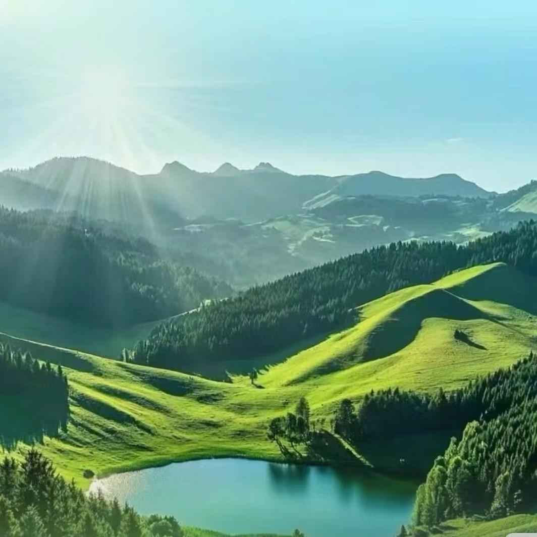 李禄伟（煤炭）