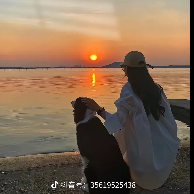 🍒楚乔🍒