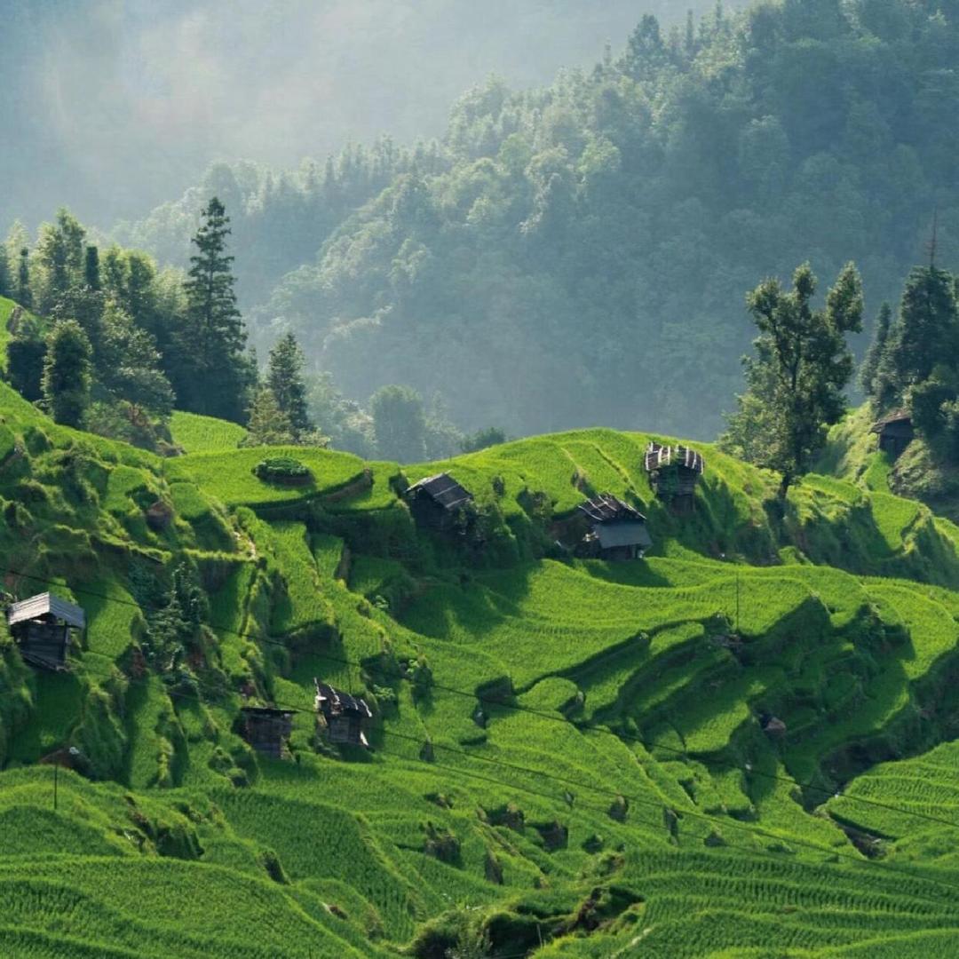 ✨㞢㑅（zhi.zuo）