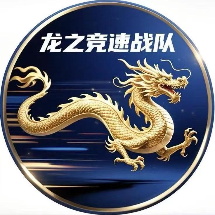 龙之竞速战队