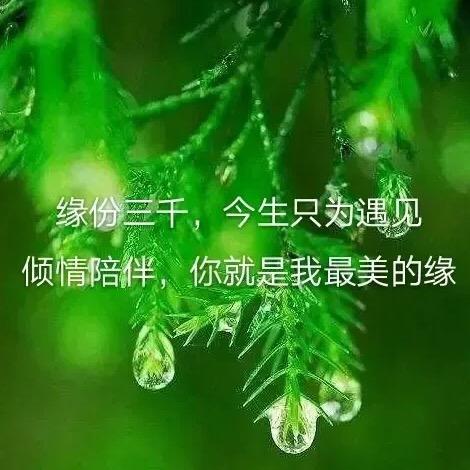 美
