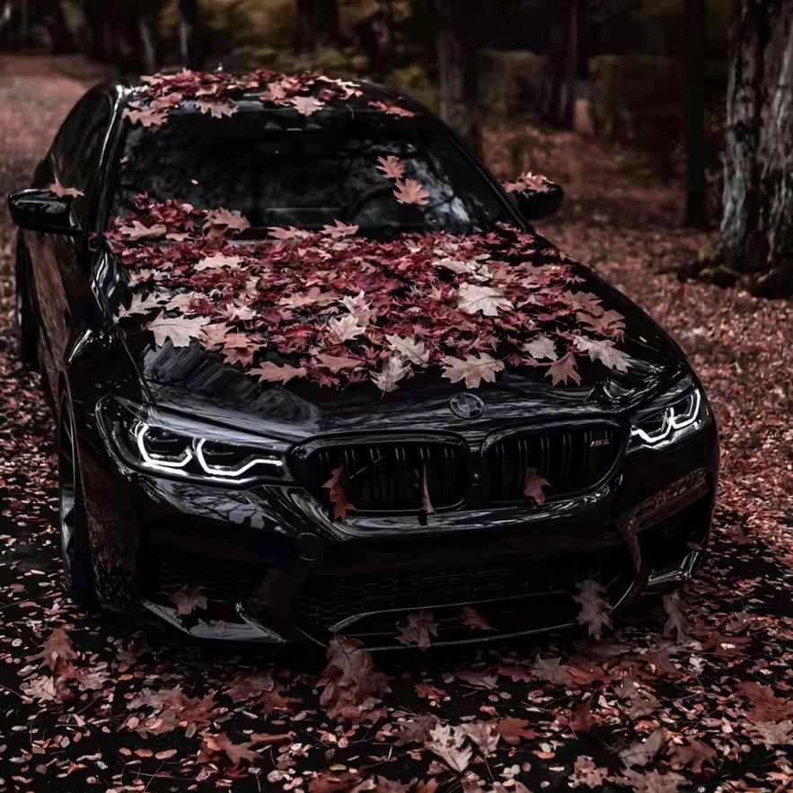 ♠️A