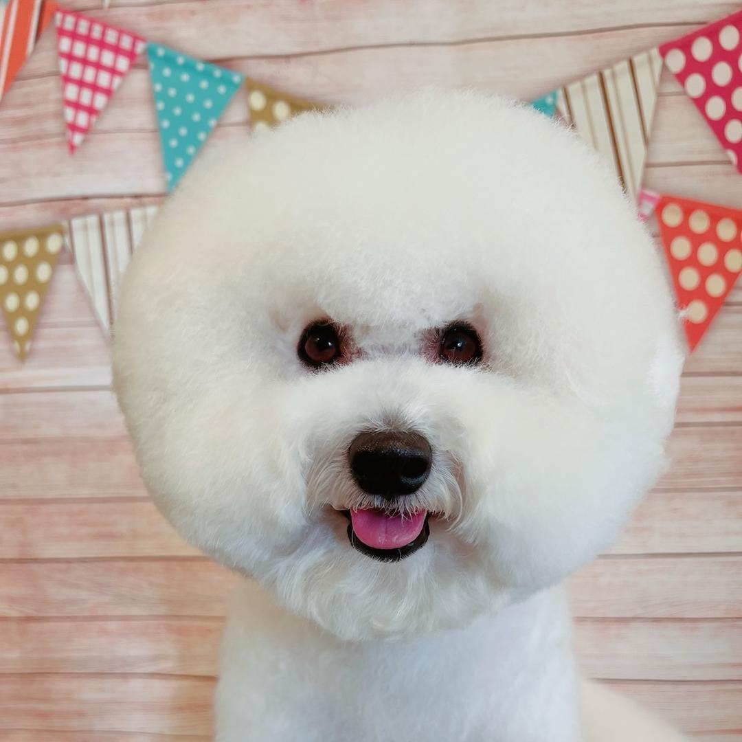 默听君子笑红尘