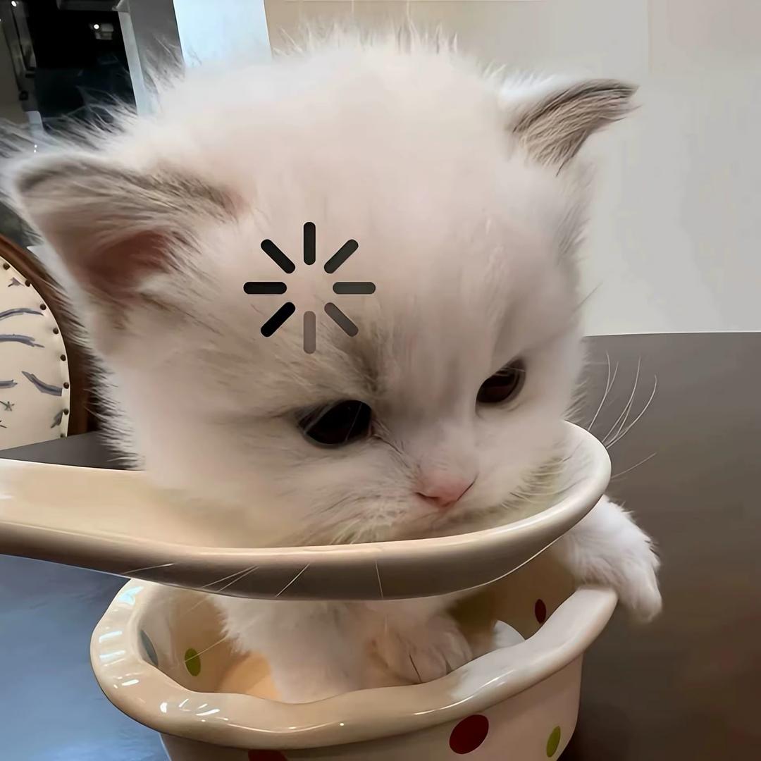 ^ ^