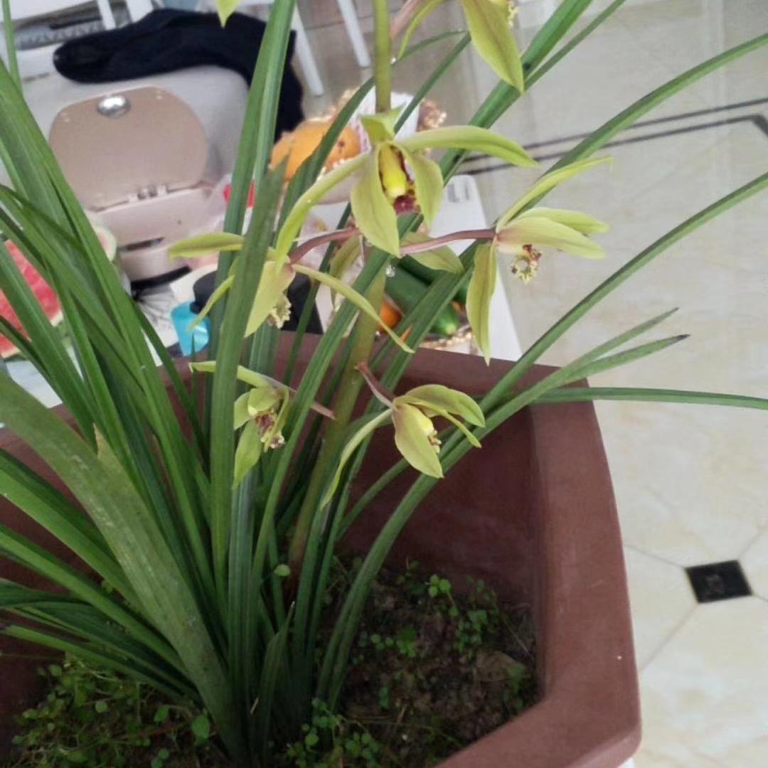 爱生活，更爱我的家人。