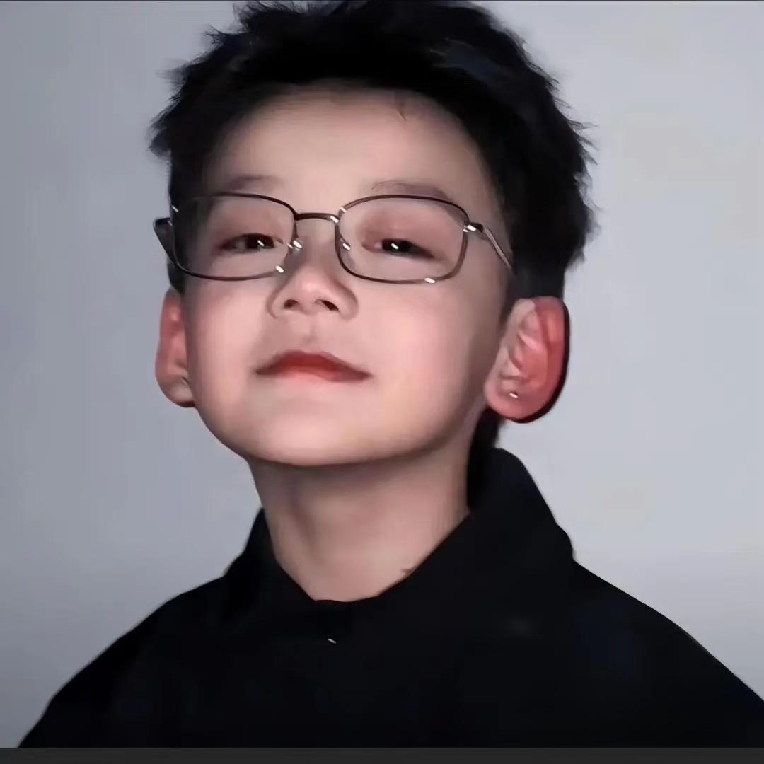 爱吃低保的小登