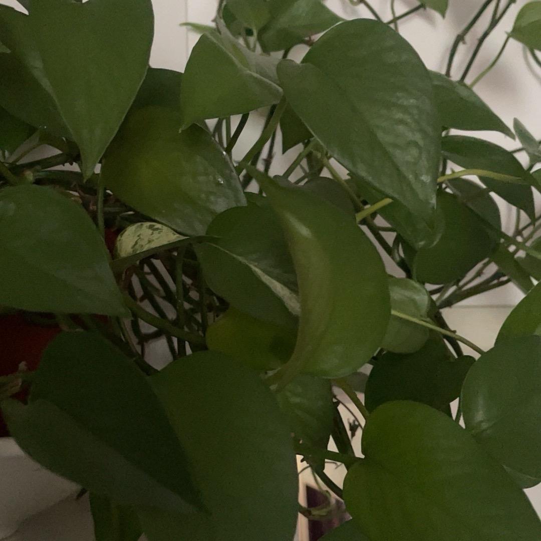 一切都是最好的安排