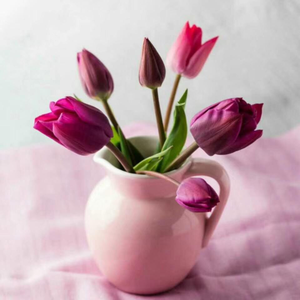 🌺🍀🌼做人太难🌸🍀🌼