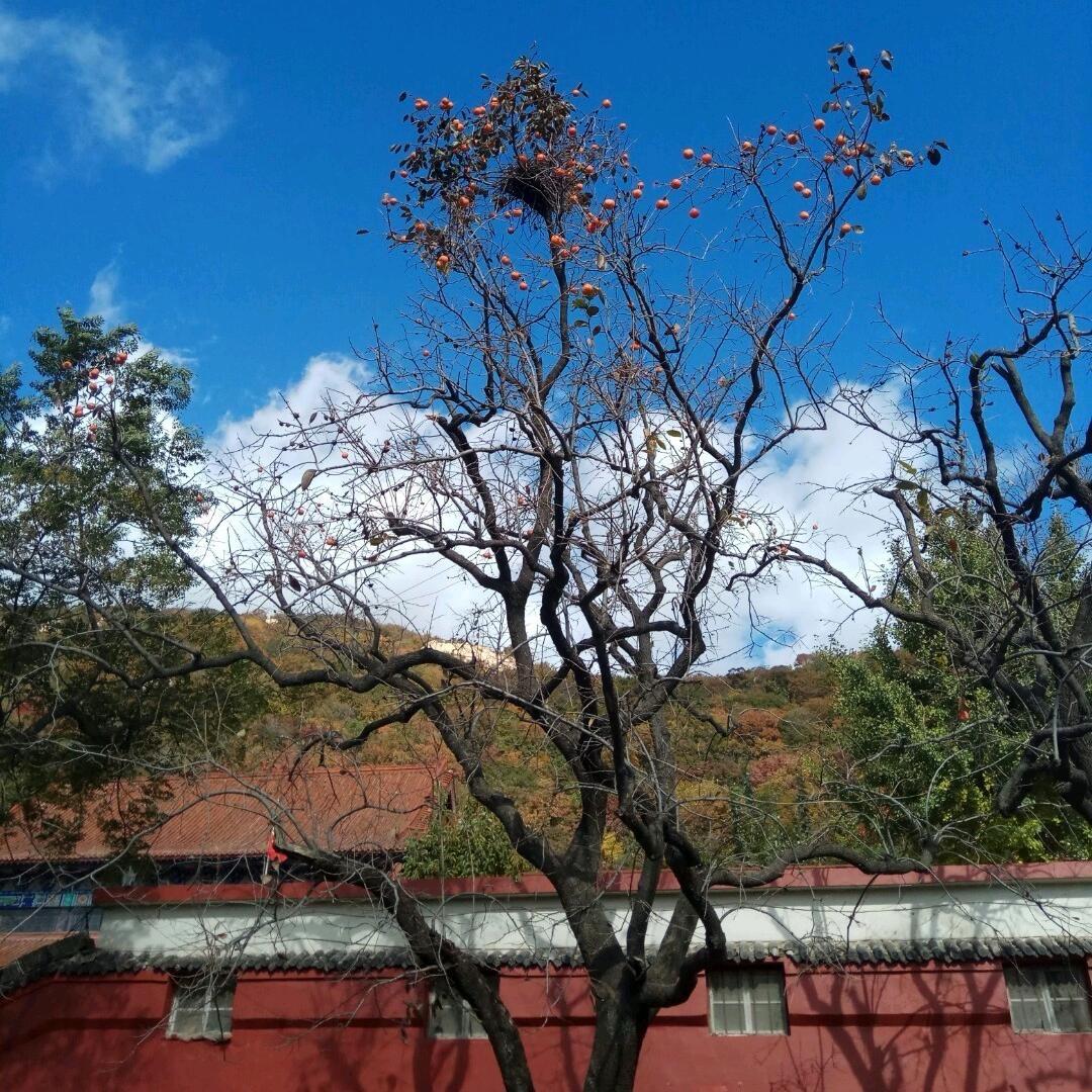 开心快乐每一天