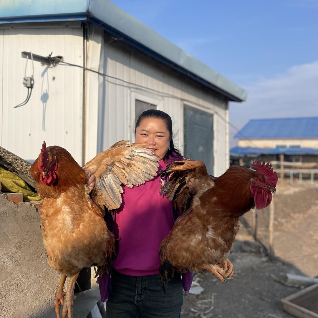 农村老妈的田园生活