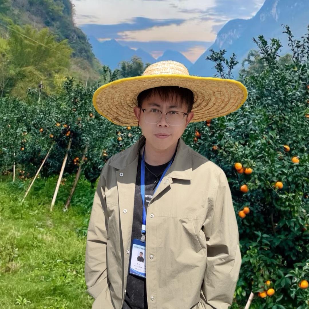大周柑橘种植