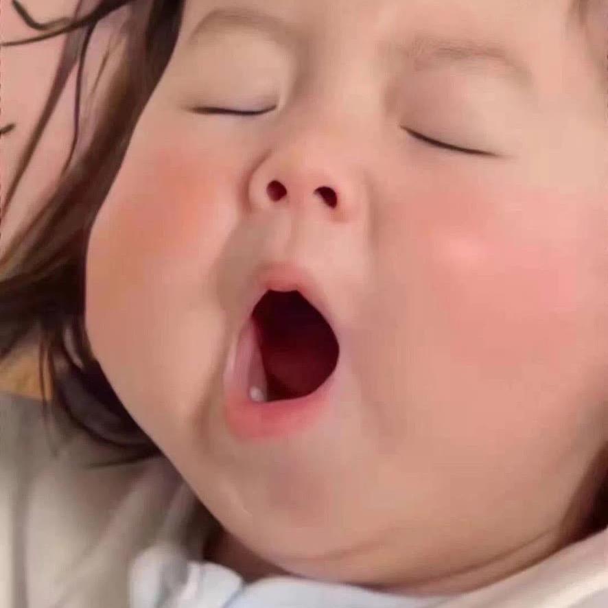 🧚‍♀️达不溜·傲娇小肚腩 🇨🇳