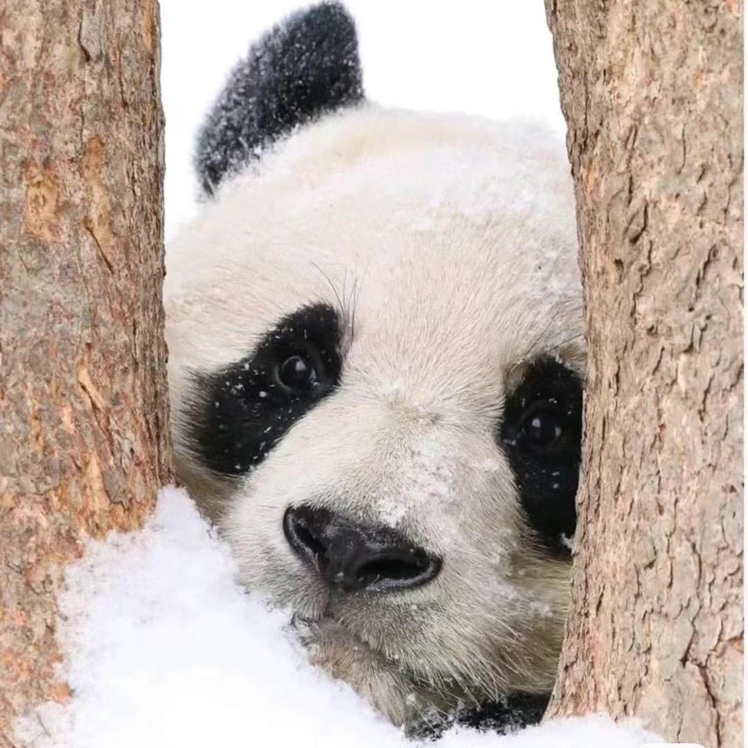 万客鞋业鞋类工厂店