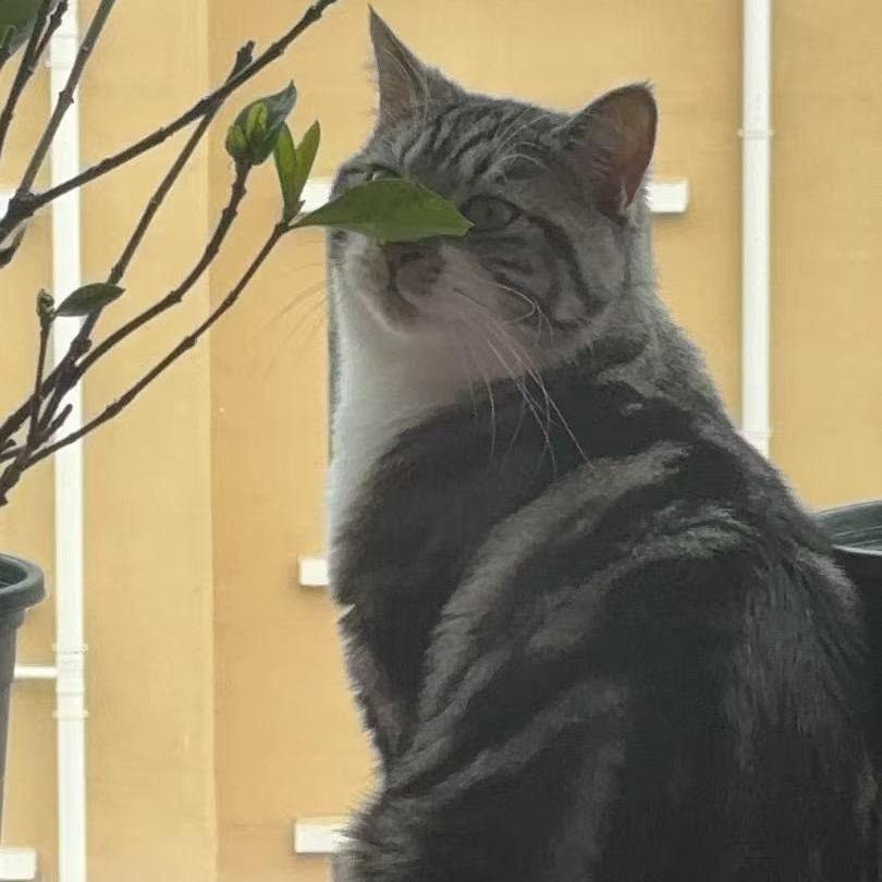 。。。。。。