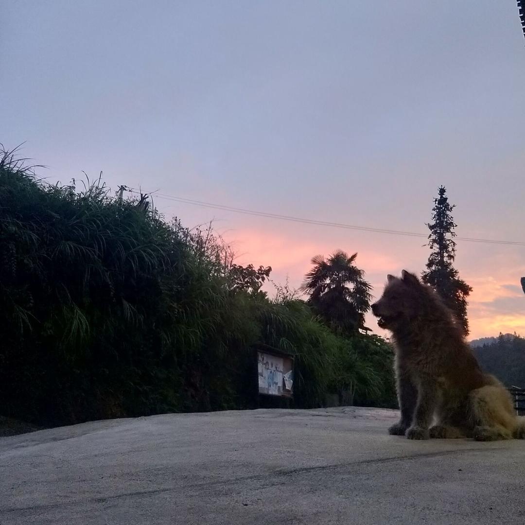 @pan--天毅