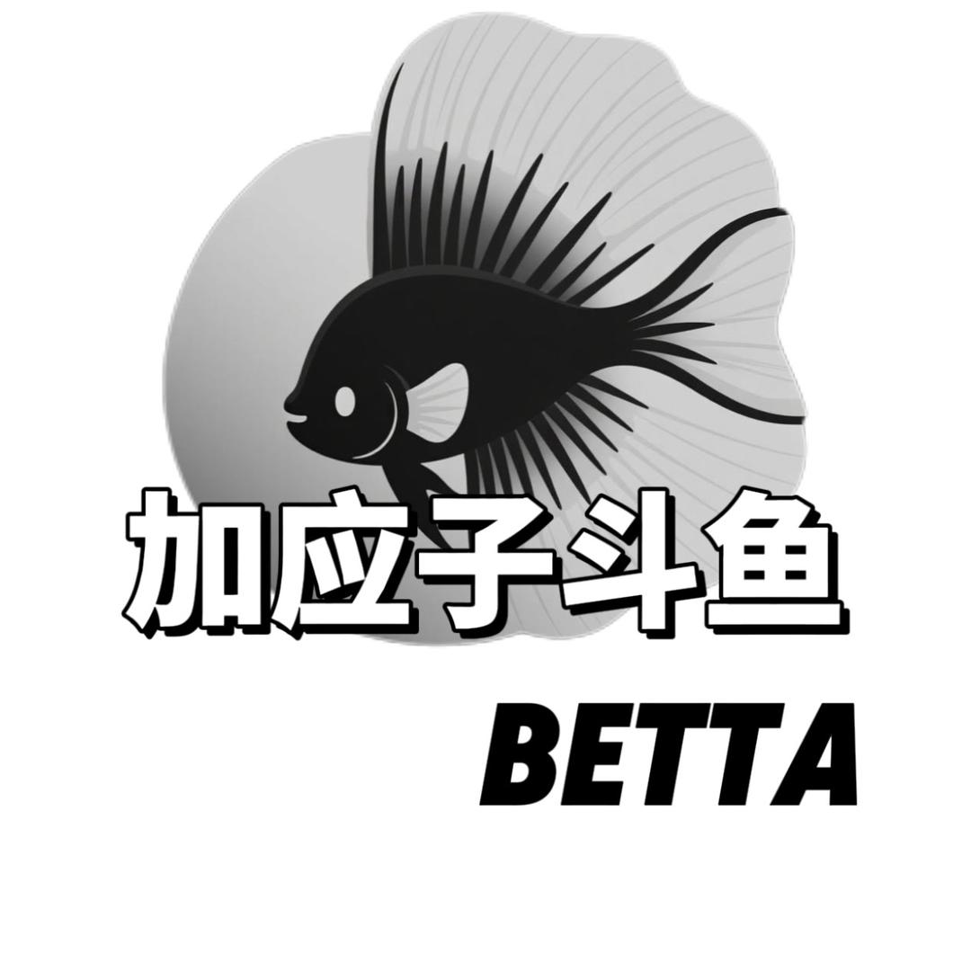 加应子斗鱼Betta