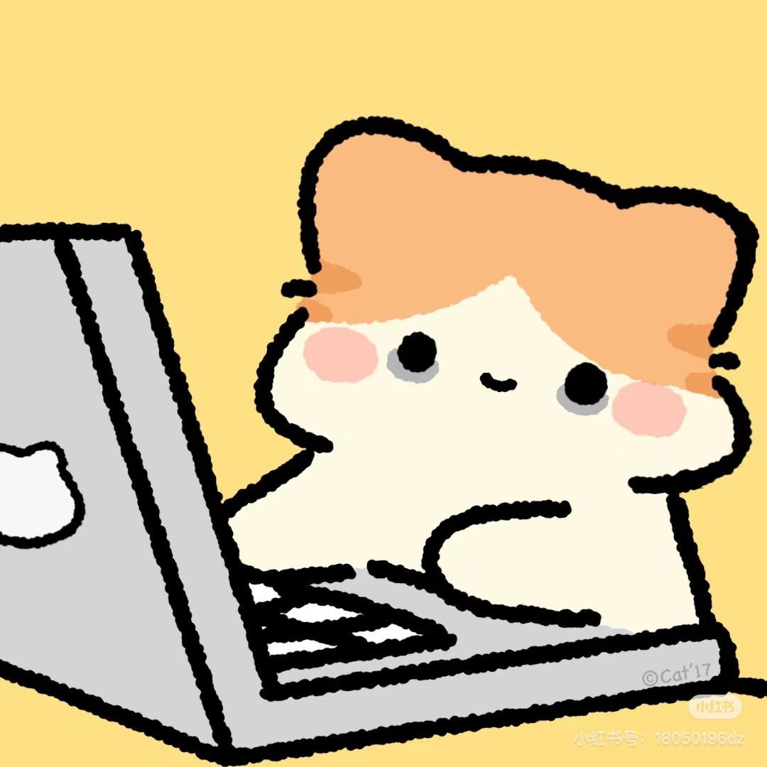 Skikyom_CCD