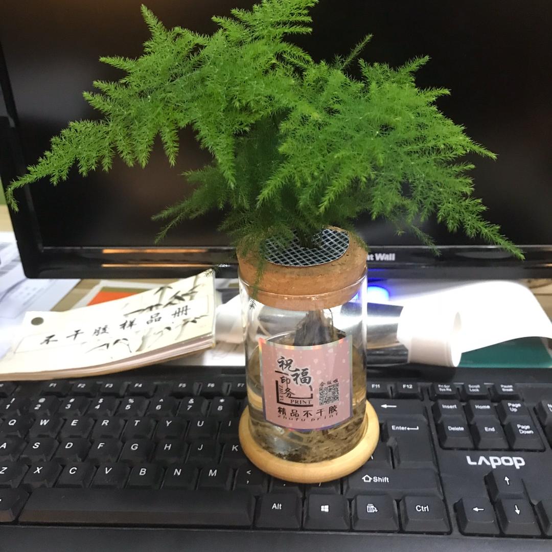 精品不干胶 FSC标签认证（智优印务）