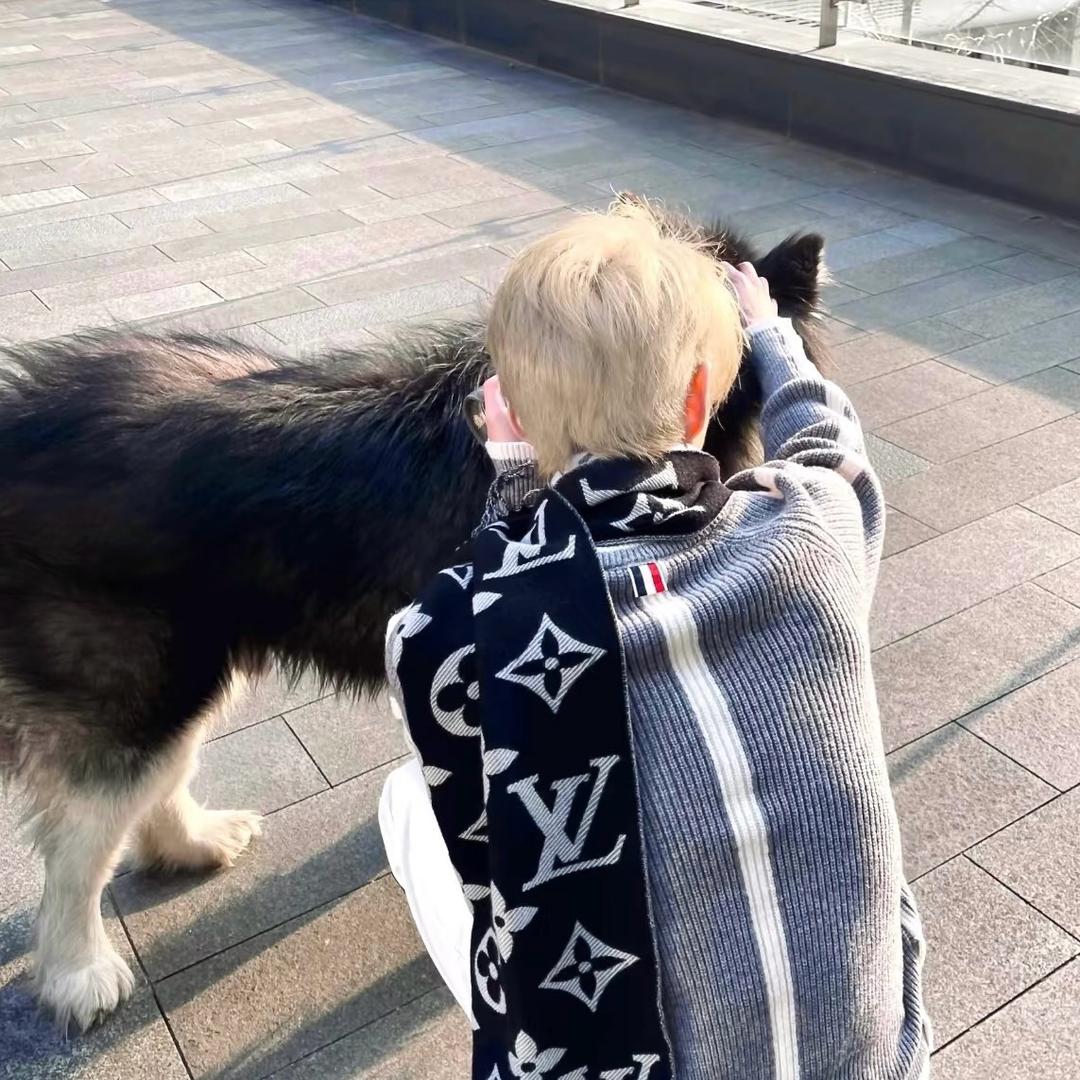 林间雾（增肥版）