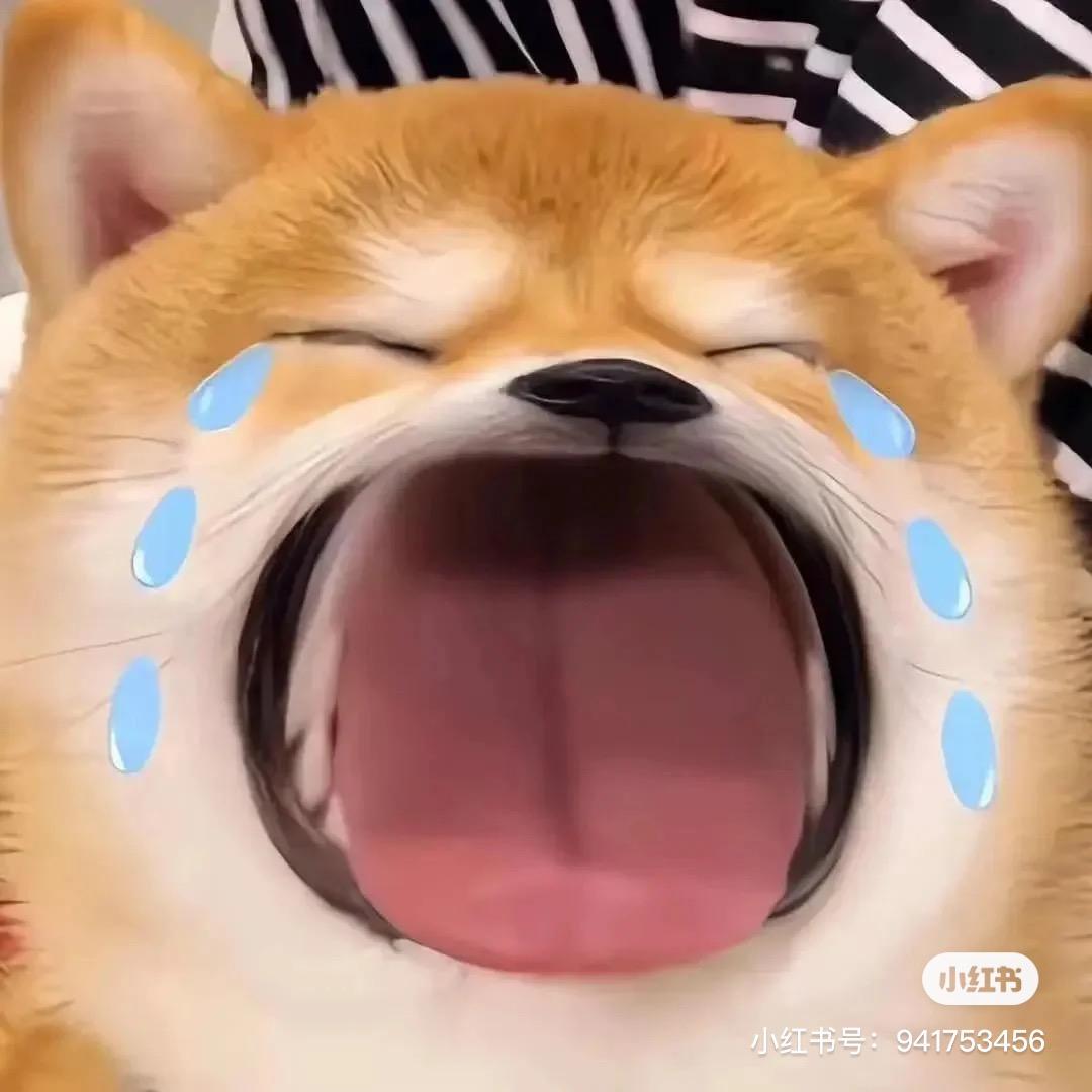 榨汁机代言人