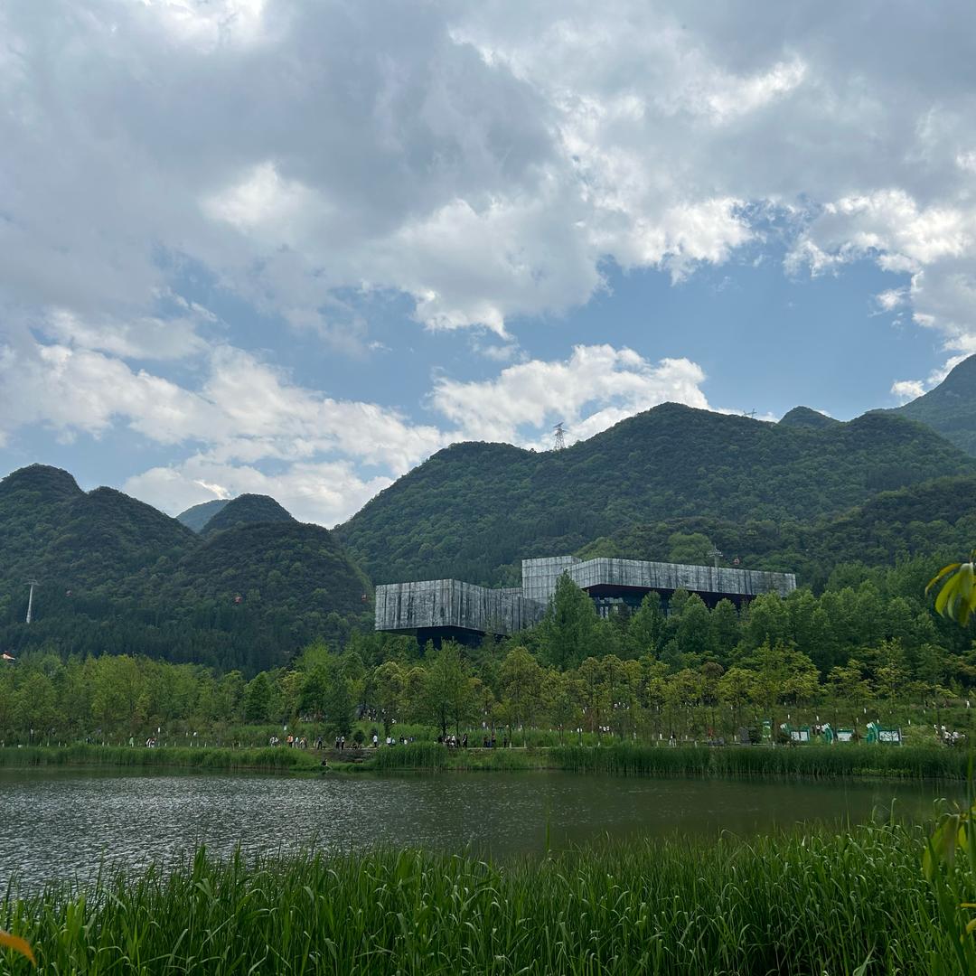 重庆森屿