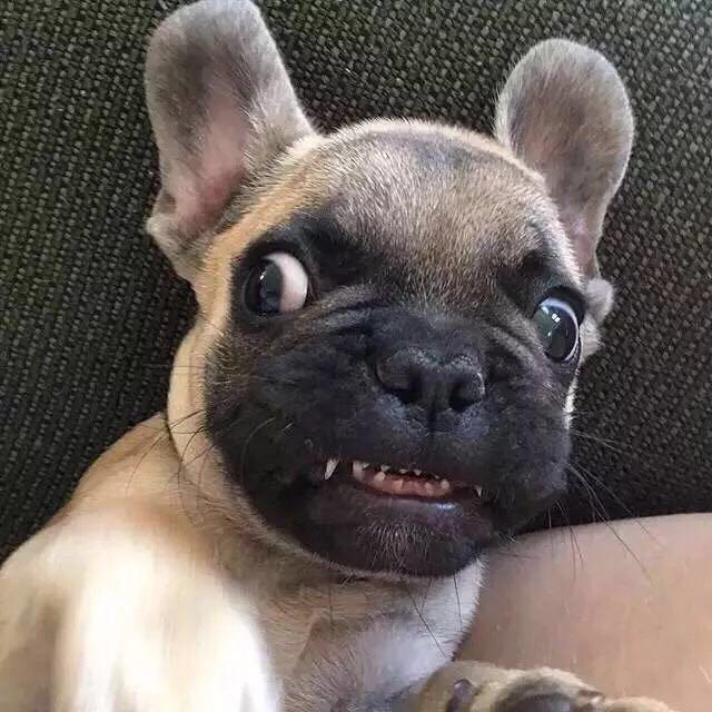 M.