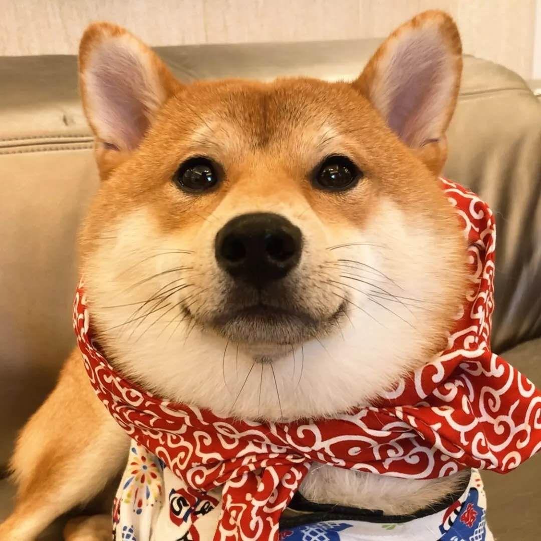 王大庆麒御酒店(洛阳火车站店)