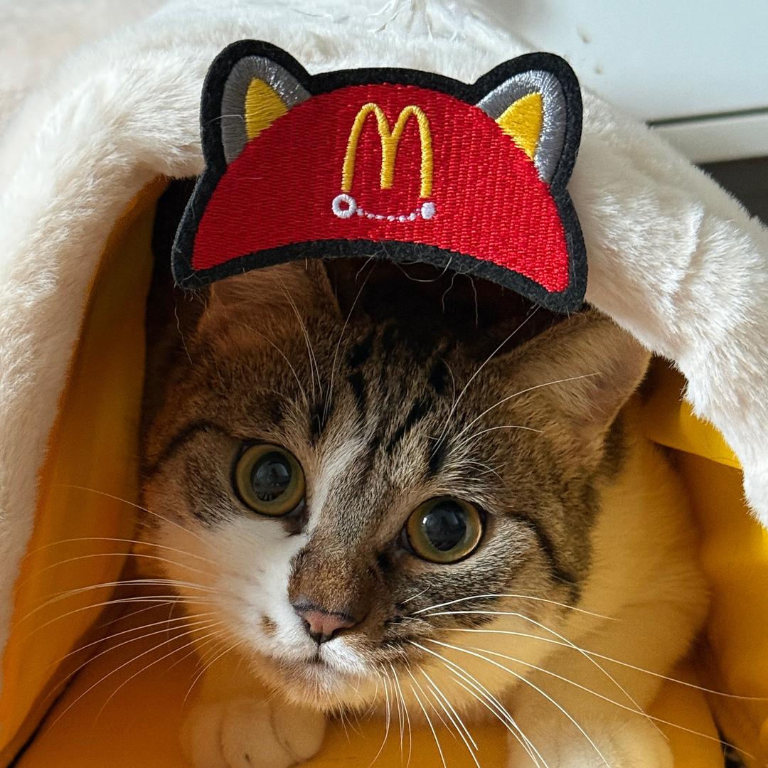 过桥米线加香菜