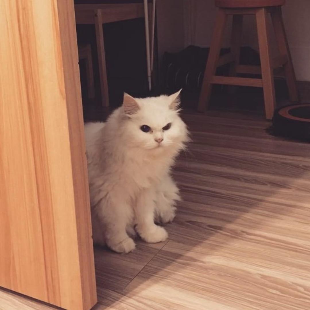 Maonanbei