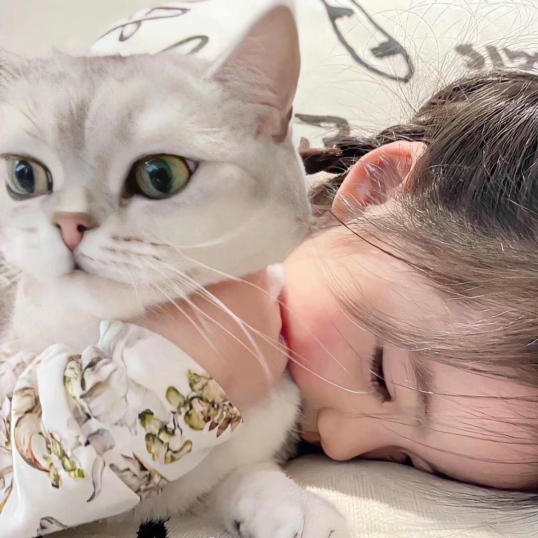 李大顺顺顺