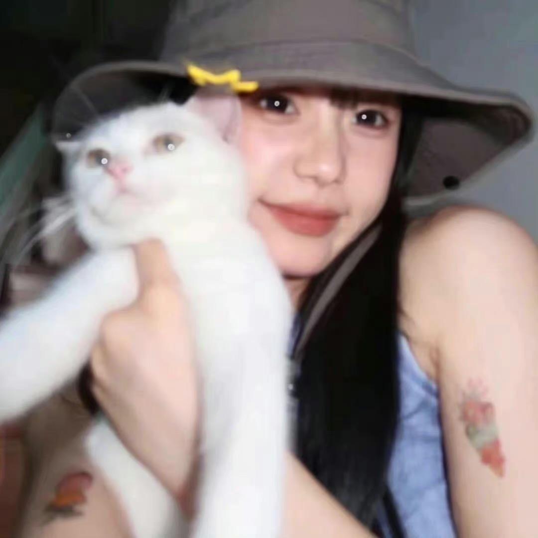 🧿小考拉🪬