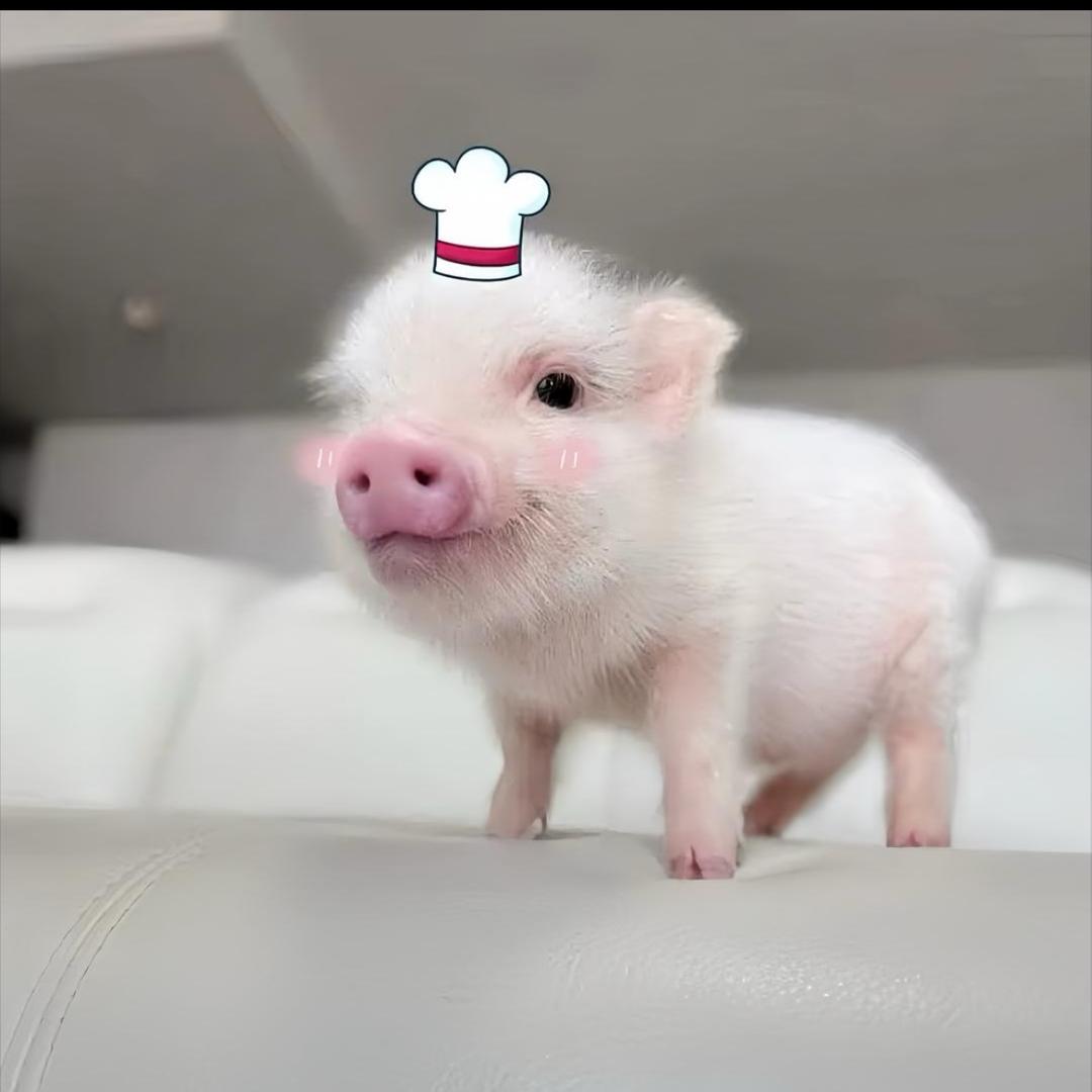解冬瓜