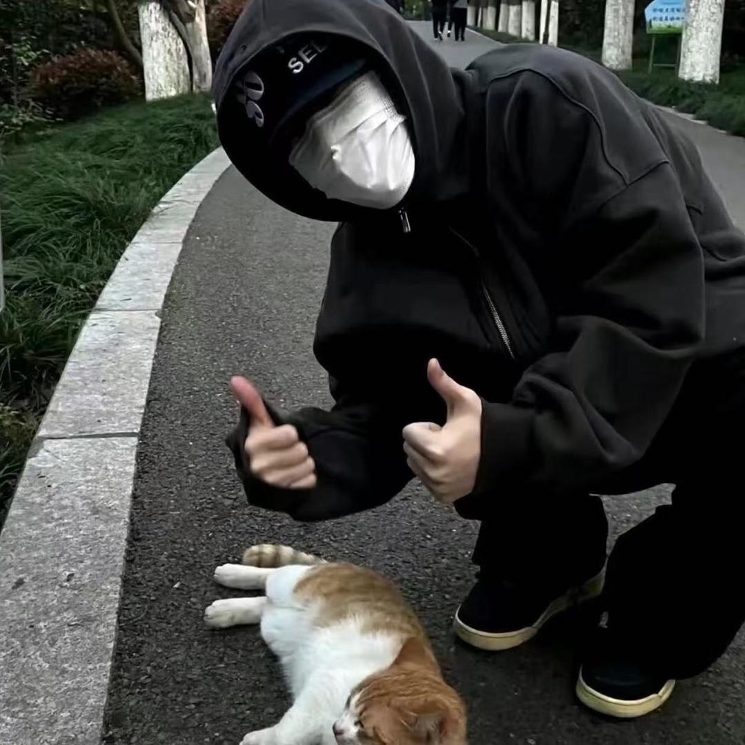 坦小檀头像