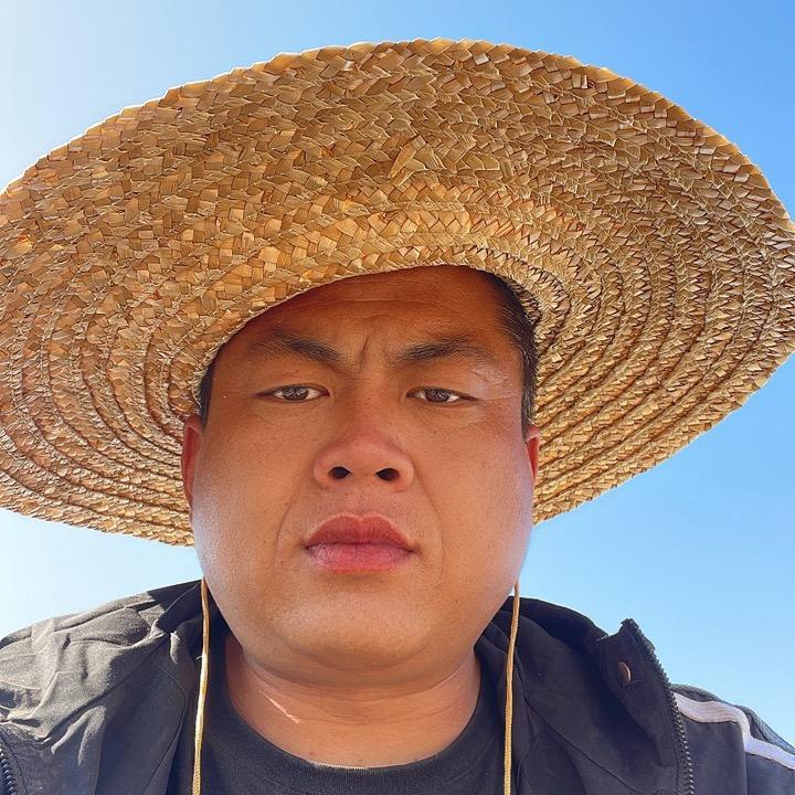 卓森酸枣种植小马